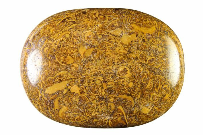 Polished Miriam Stone Palm Stone - India #342288